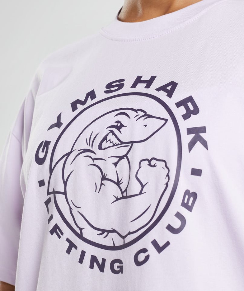 Women's Gymshark Legacy Oversized T-Shirts Light Purple | NZ 1YNLVZ